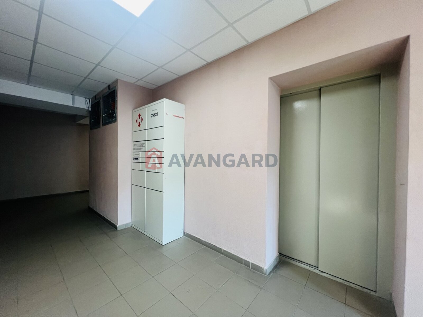 3 ��. ��������, 70,5/30/25 ��. �., 7/16 ������ ���� 6