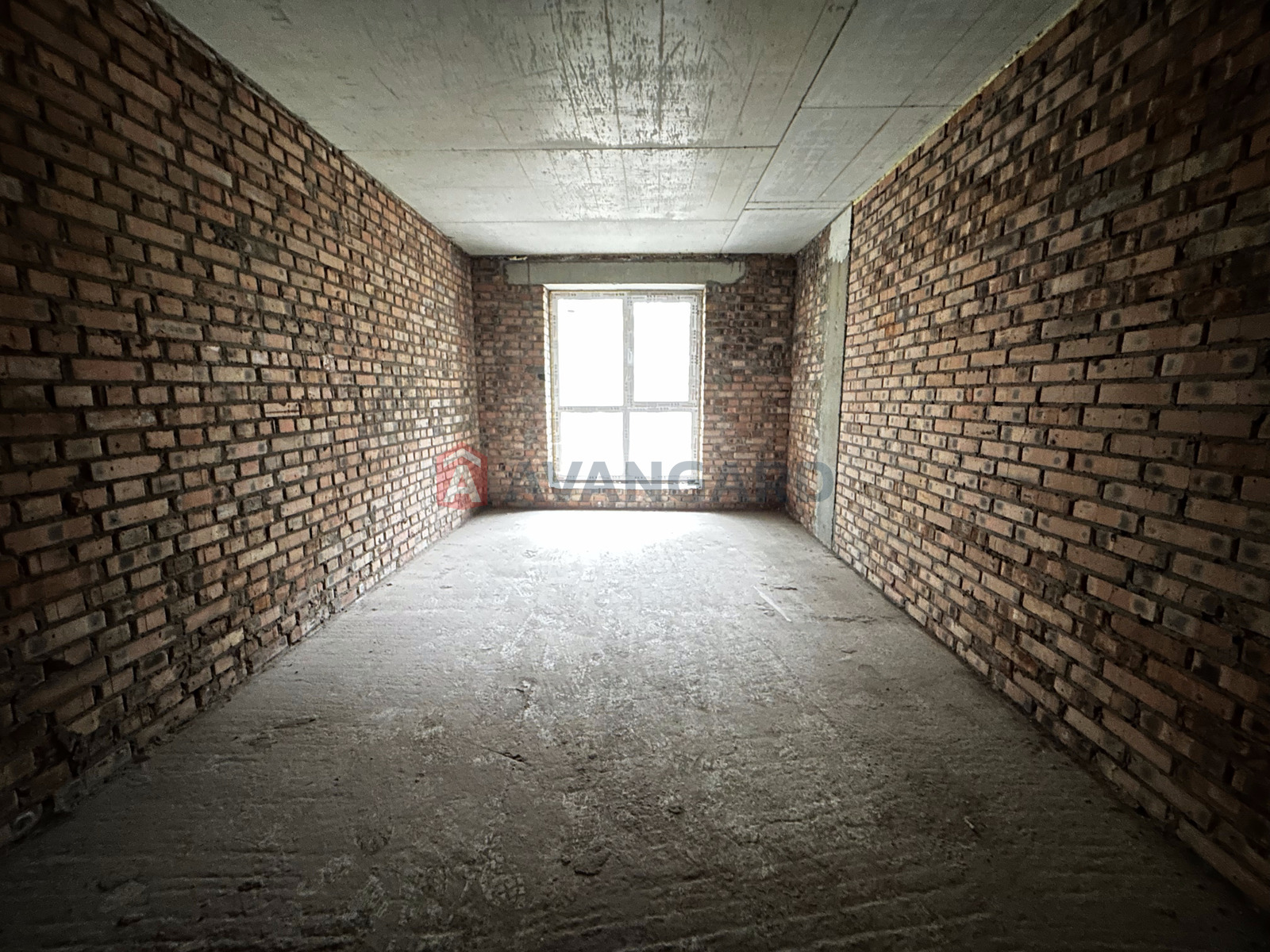 2 . , 78,8/38,1/19,7 . ., 2/6   5