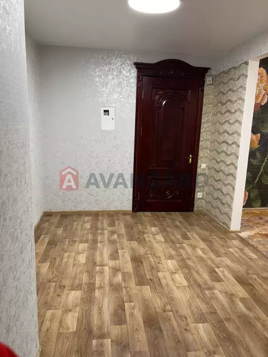 2 . , 67/-/- . ., 3/5   6