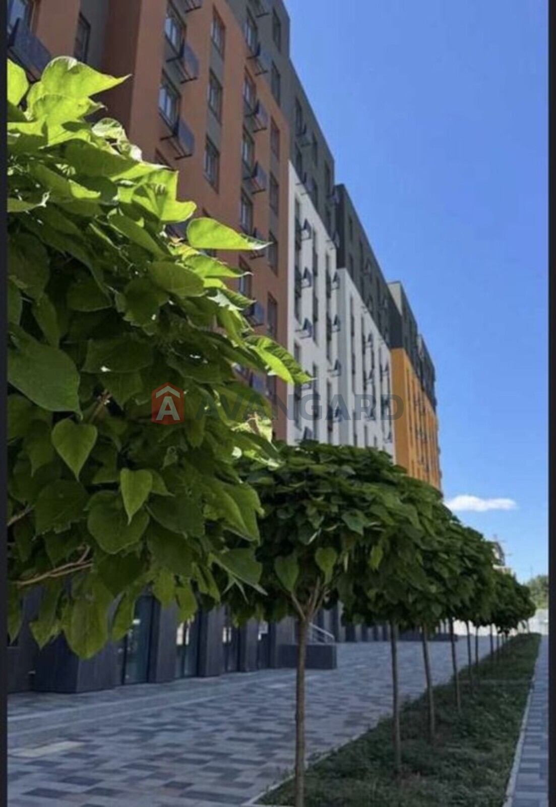 1 ��. ��������, 64/-/16 ��. �., 9/10 ������ ���� 6