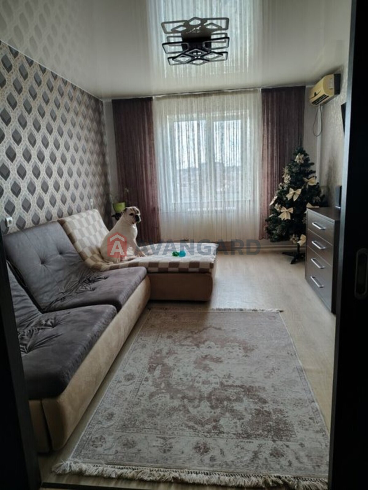 4 ��. ��������, 88/-/16 ��. �., 6/9 ������ ���� 18