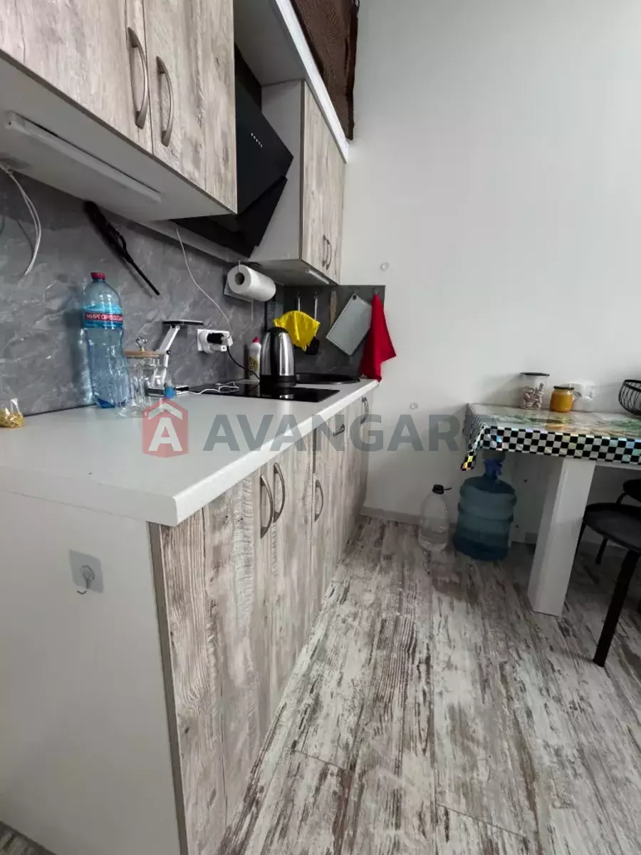 1 ����. ��������, 24/-/- ��. �., 2/3 ���� ���� 1