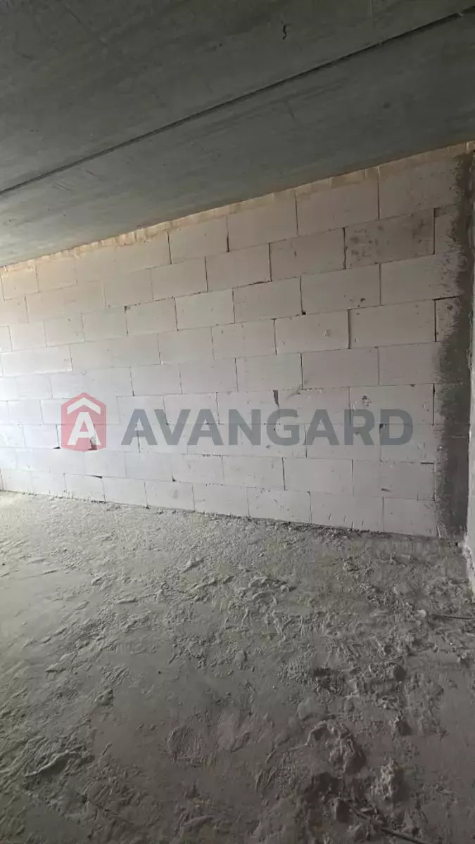3 ��. ��������, 71/-/- ��. �., 8/10 ������ ���� 14