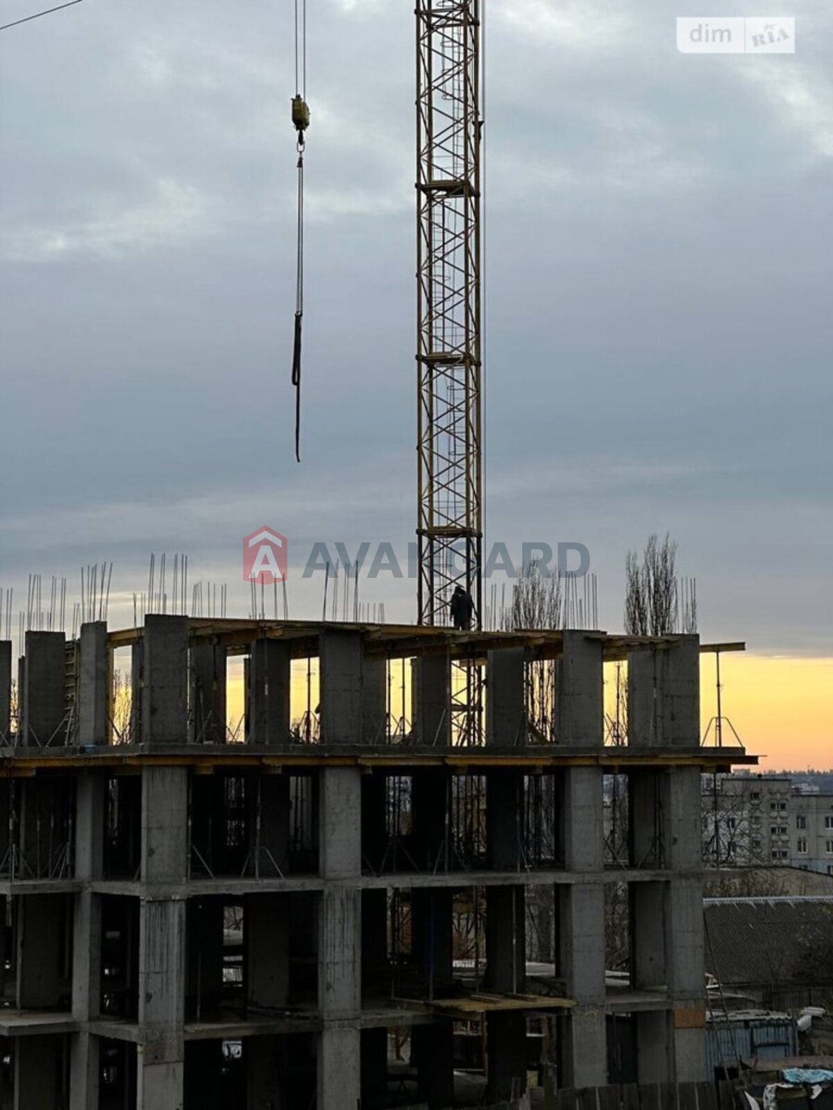 5 ��. ��������, 130/-/- ��. �., 9/10 ������ ���� 20