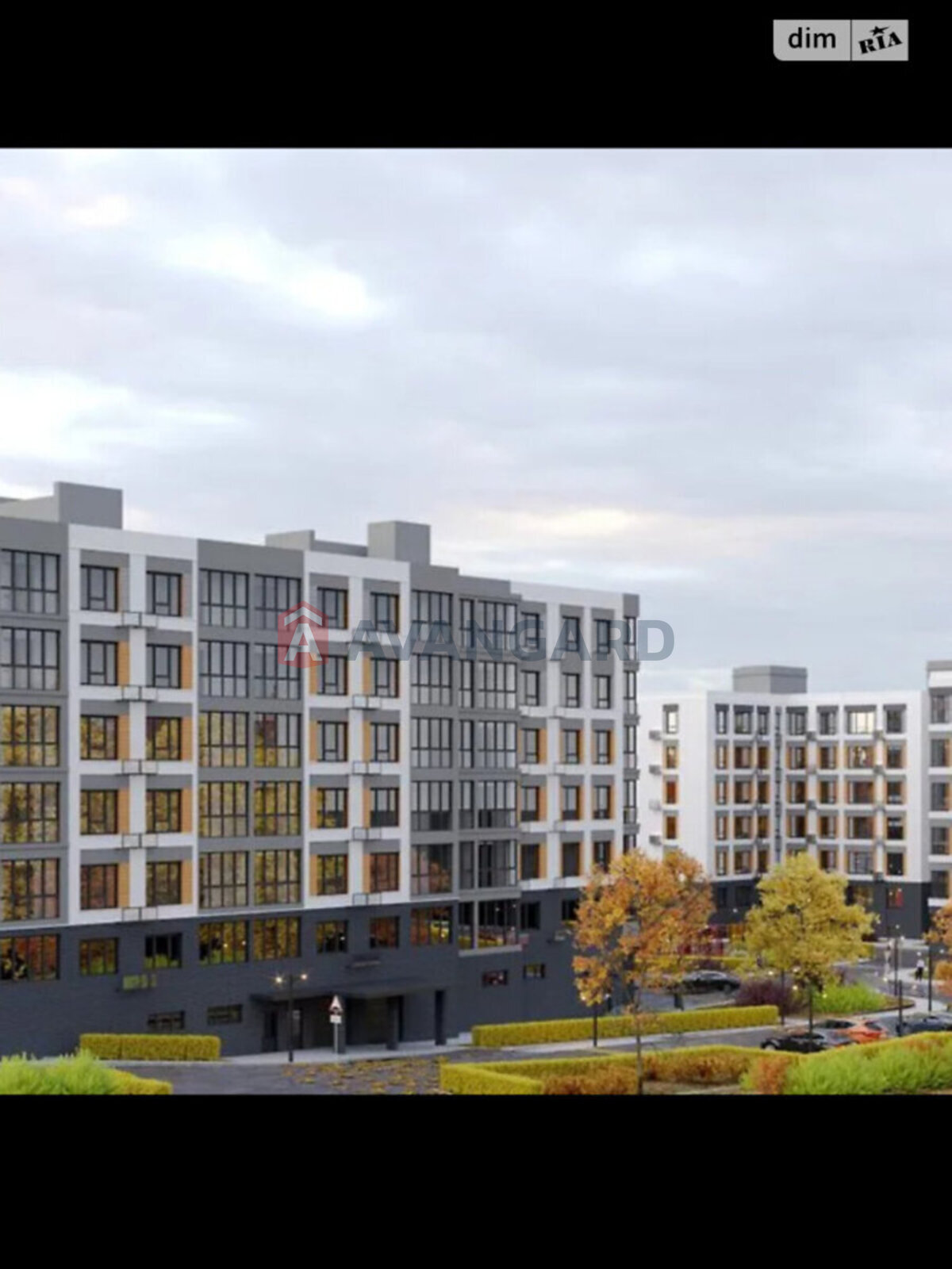 1 . , 43/-/24.5 . ., 8/8   3