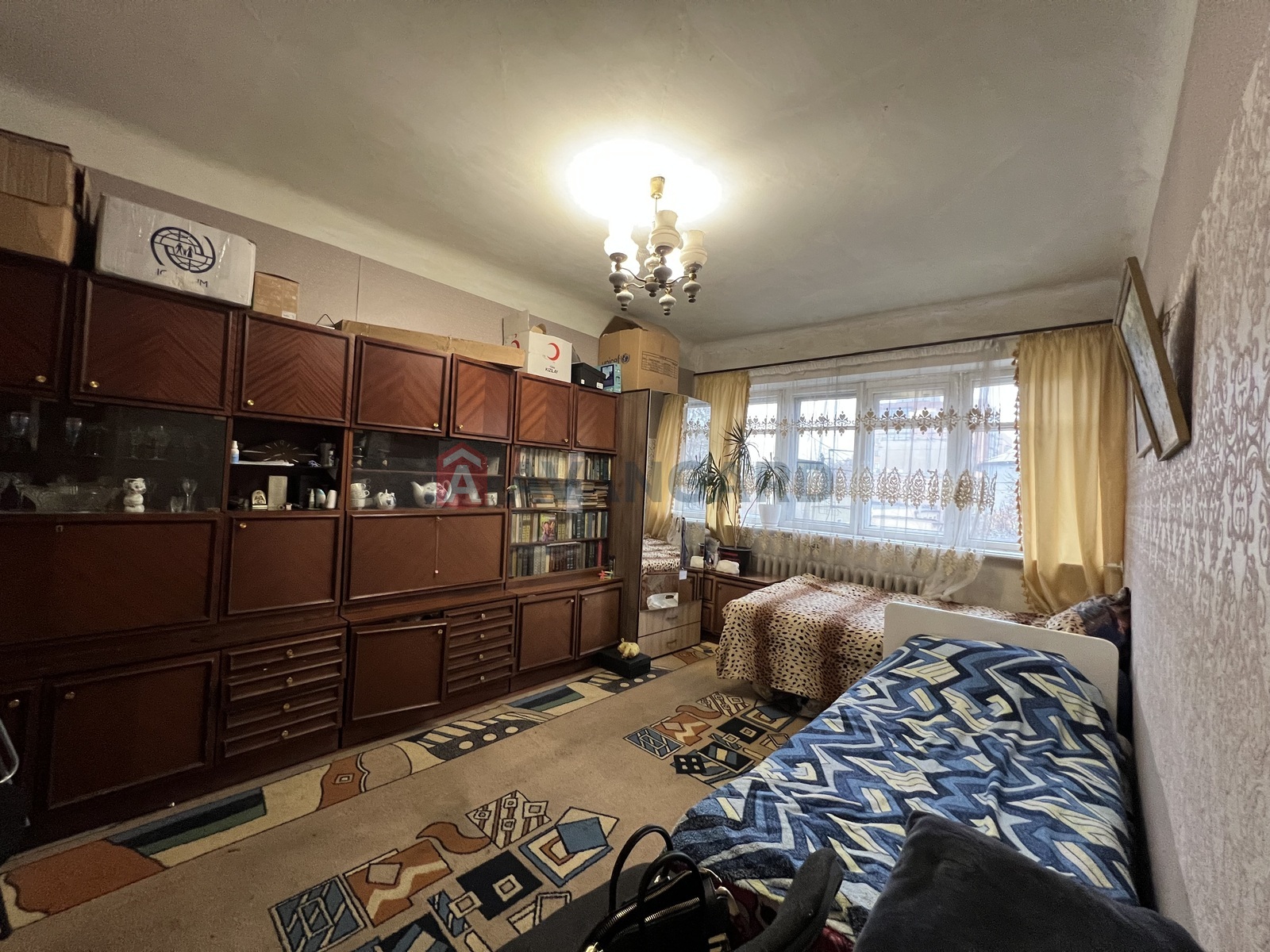 2 ��. ��������, 50/33/5 ��. �., 3/3 ������ ���� 1