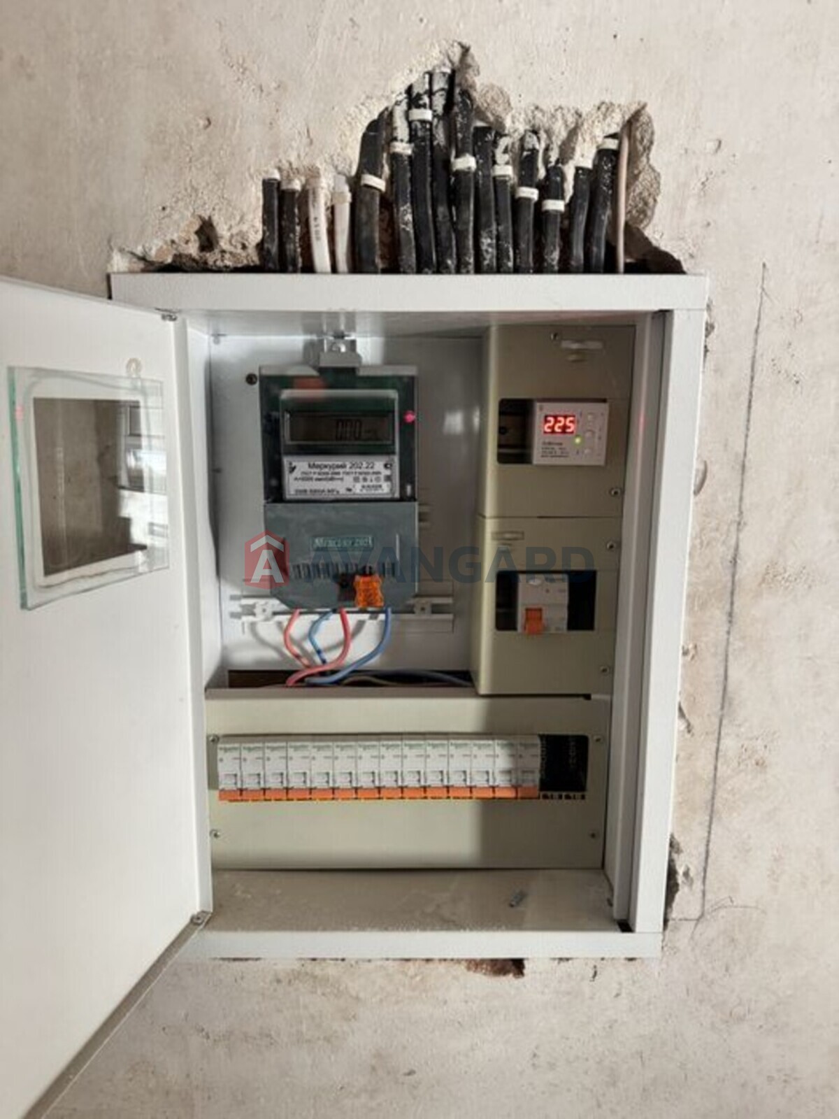 3 ����. ��������, 124/-/30 ��. �., 10/13 ���� ���� 20