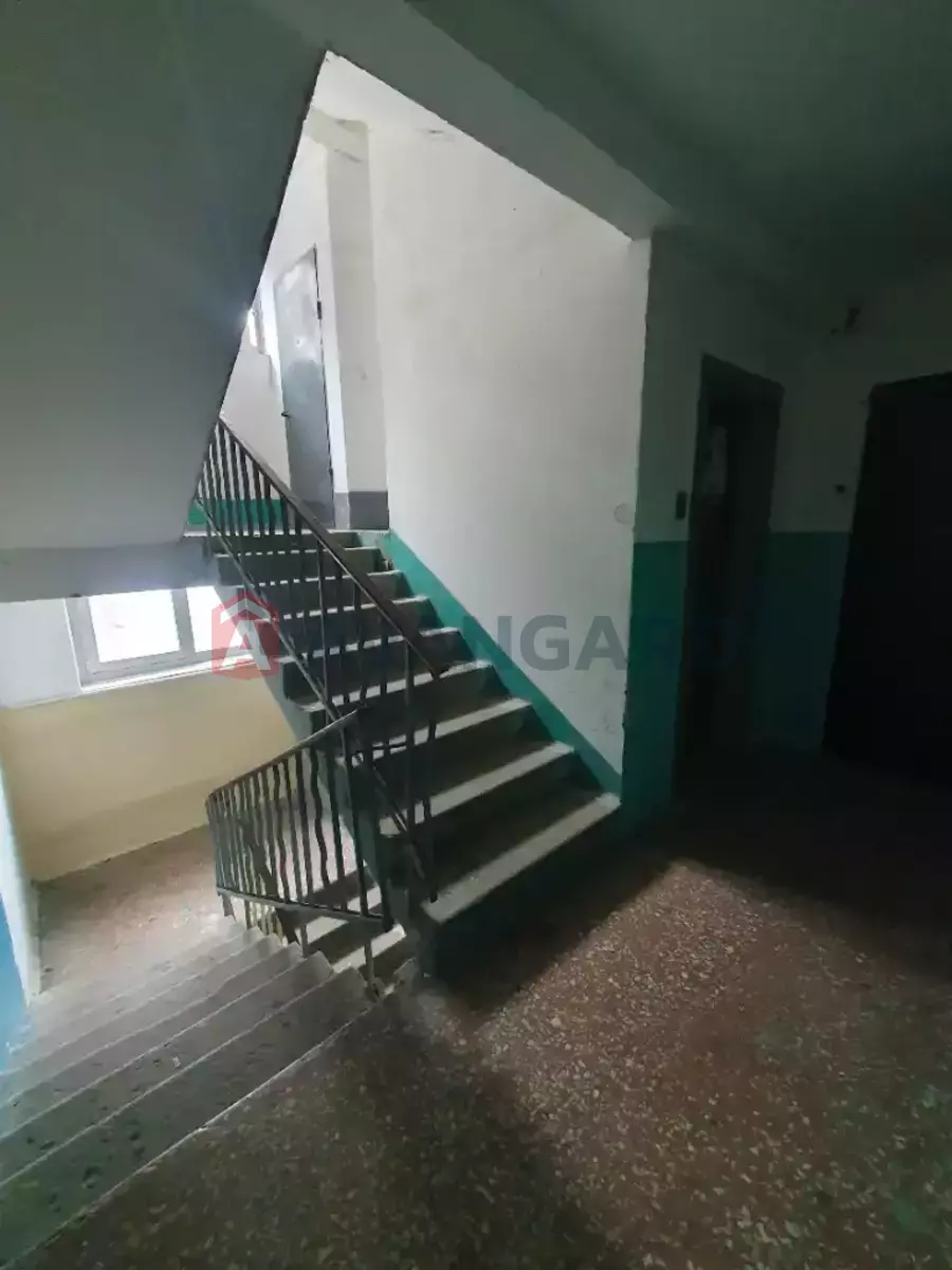 3 ��. ��������, 63/38/8 ��. �., 2/9 ������ ���� 29