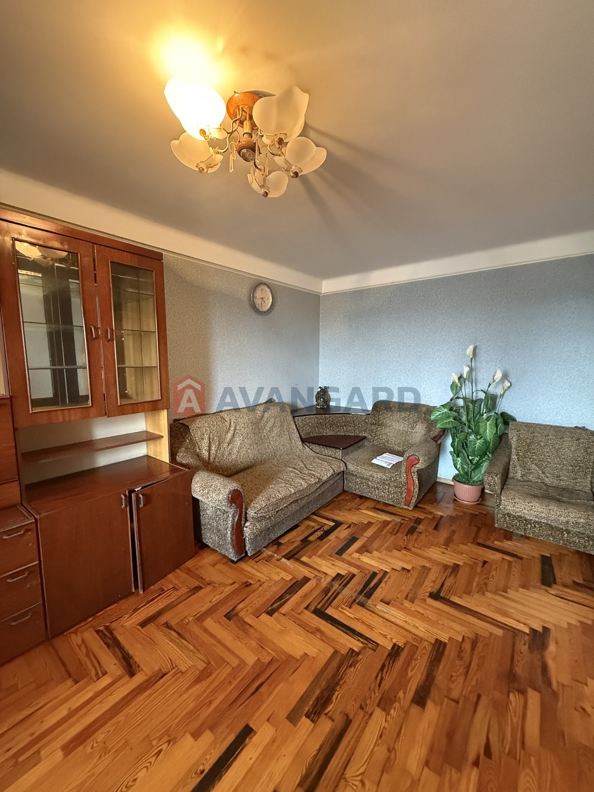 2 ��. ��������, 50/-/8 ��. �., 7/9 ������ ���� 14