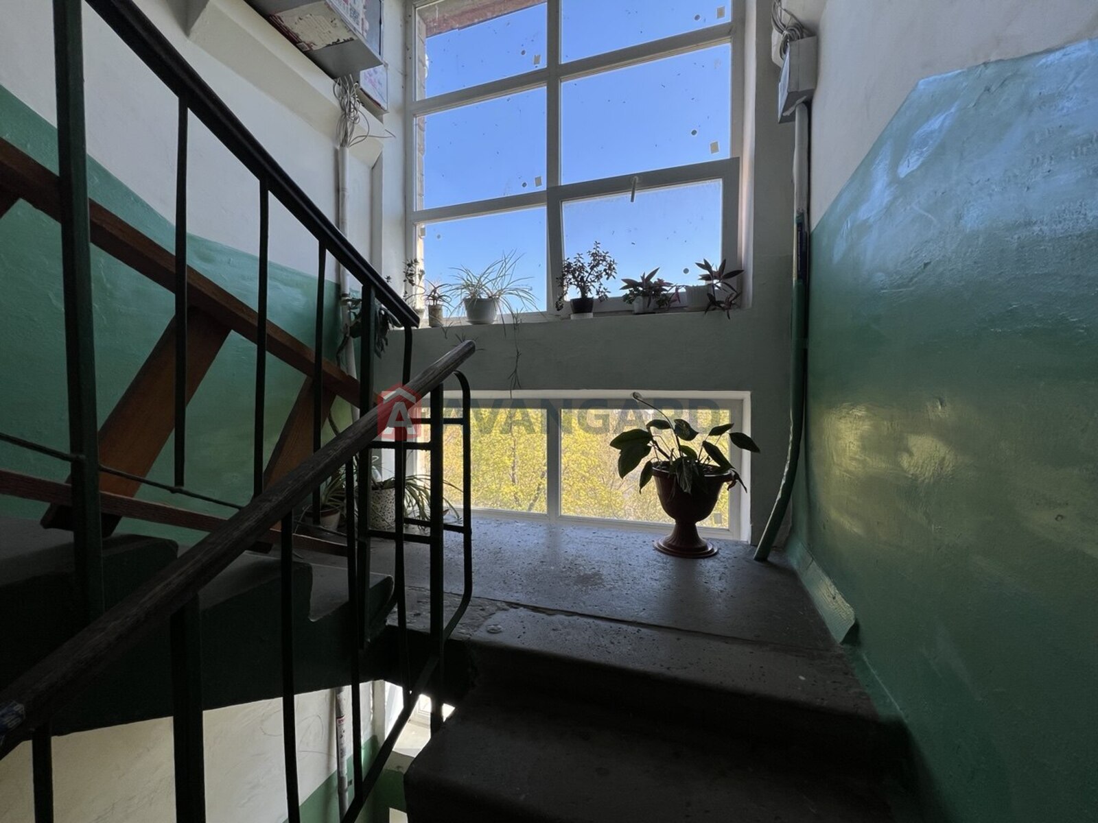 1 ����. ��������, 30/-/7 ��. �., 5/5 ���� ���� 15