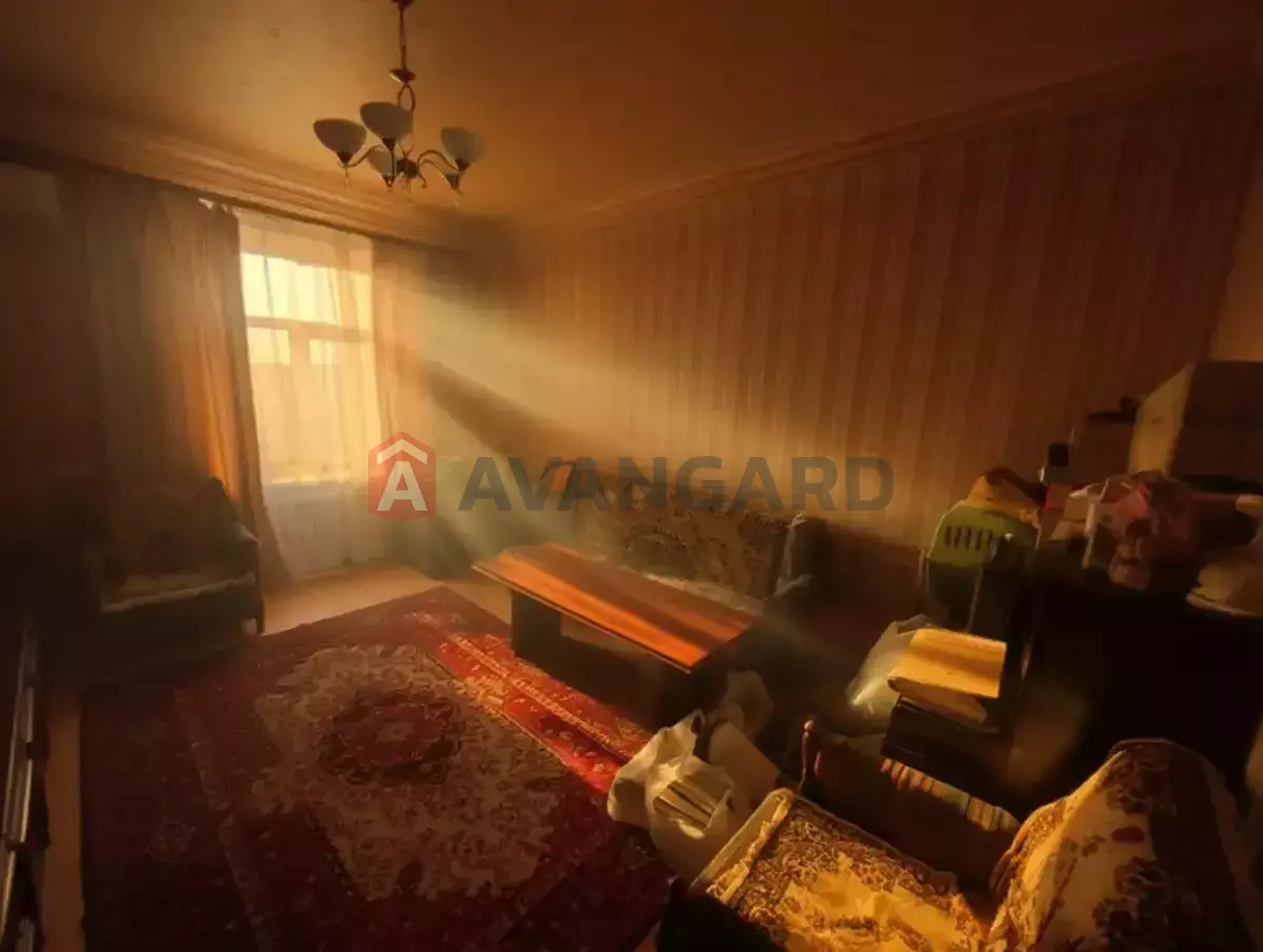 3 ��. ��������, 72/48/8 ��. �., 3/5 ������ ���� 14