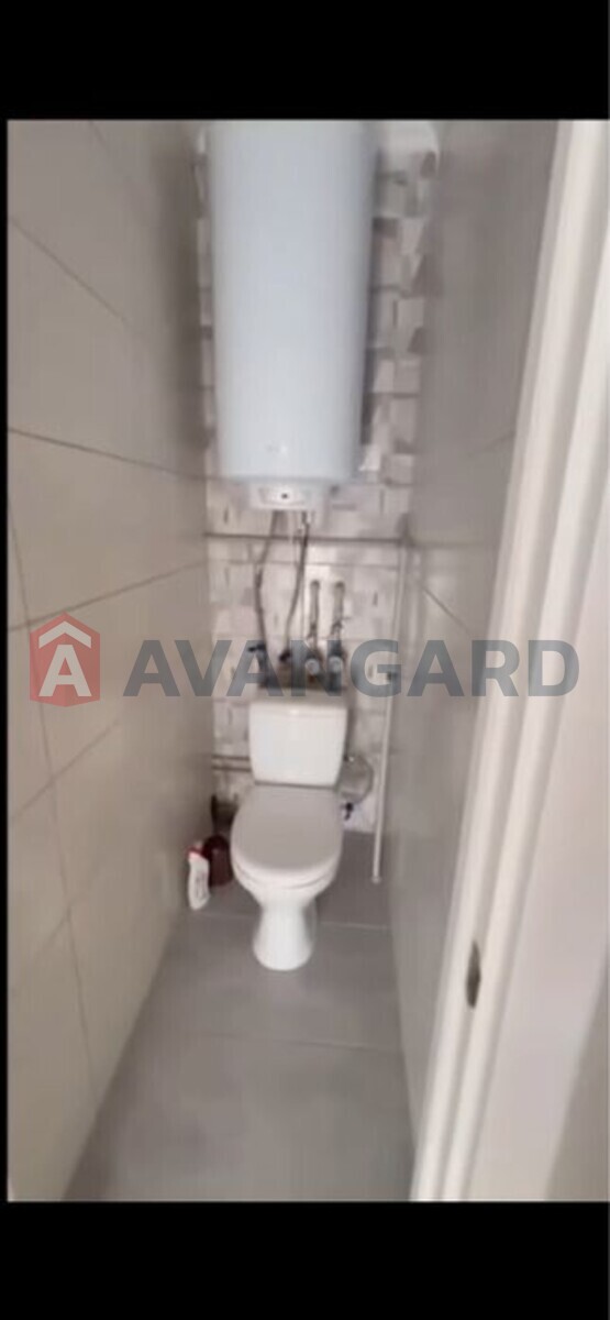 3 ����. ��������, 51/-/5 ��. �., 5/5 ���� ���� 6