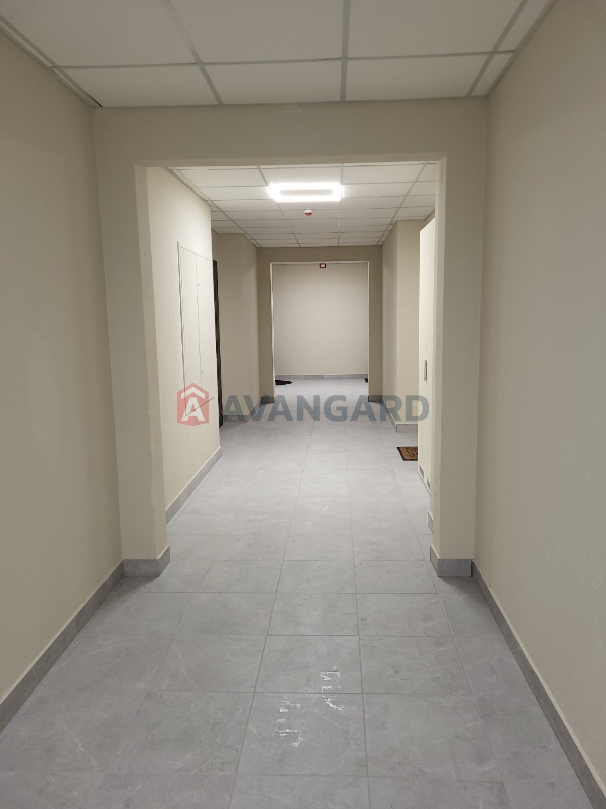 1 ����. ��������, 39,5/10,9/14,14 ��. �., 8/9 ���� ���� 2