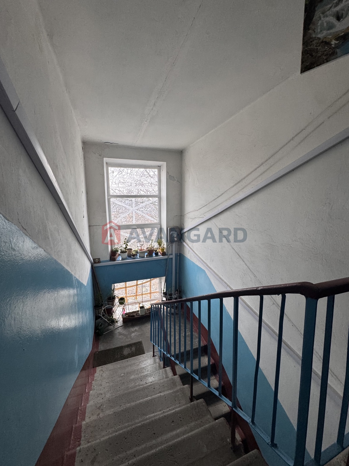 3 ��. ��������, 64/50/7 ��. �., 5/5 ������ ���� 14