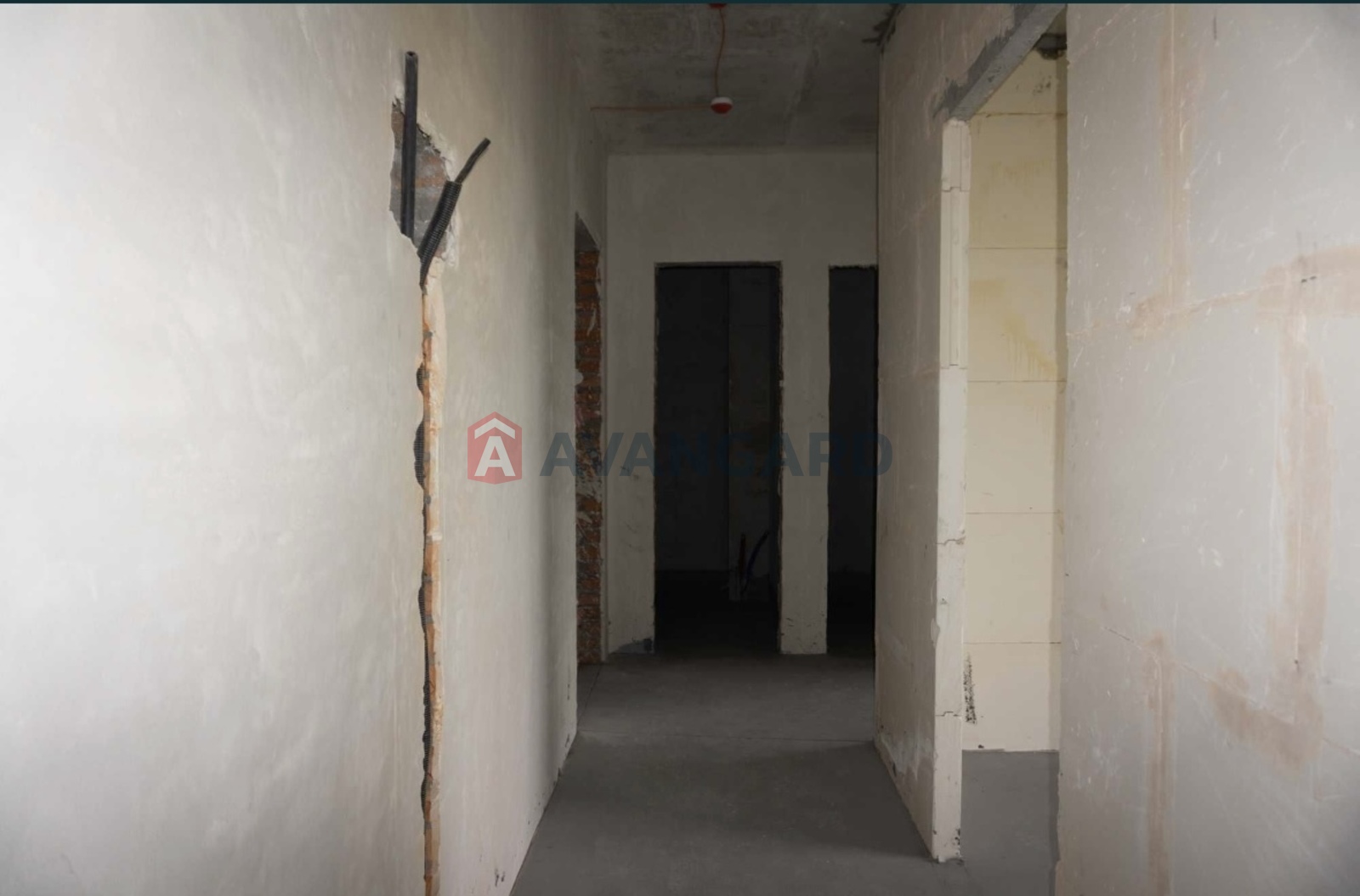 2 ��. ��������, 55,83/29.2/11 ��. �., 17/24 ������ ���� 4