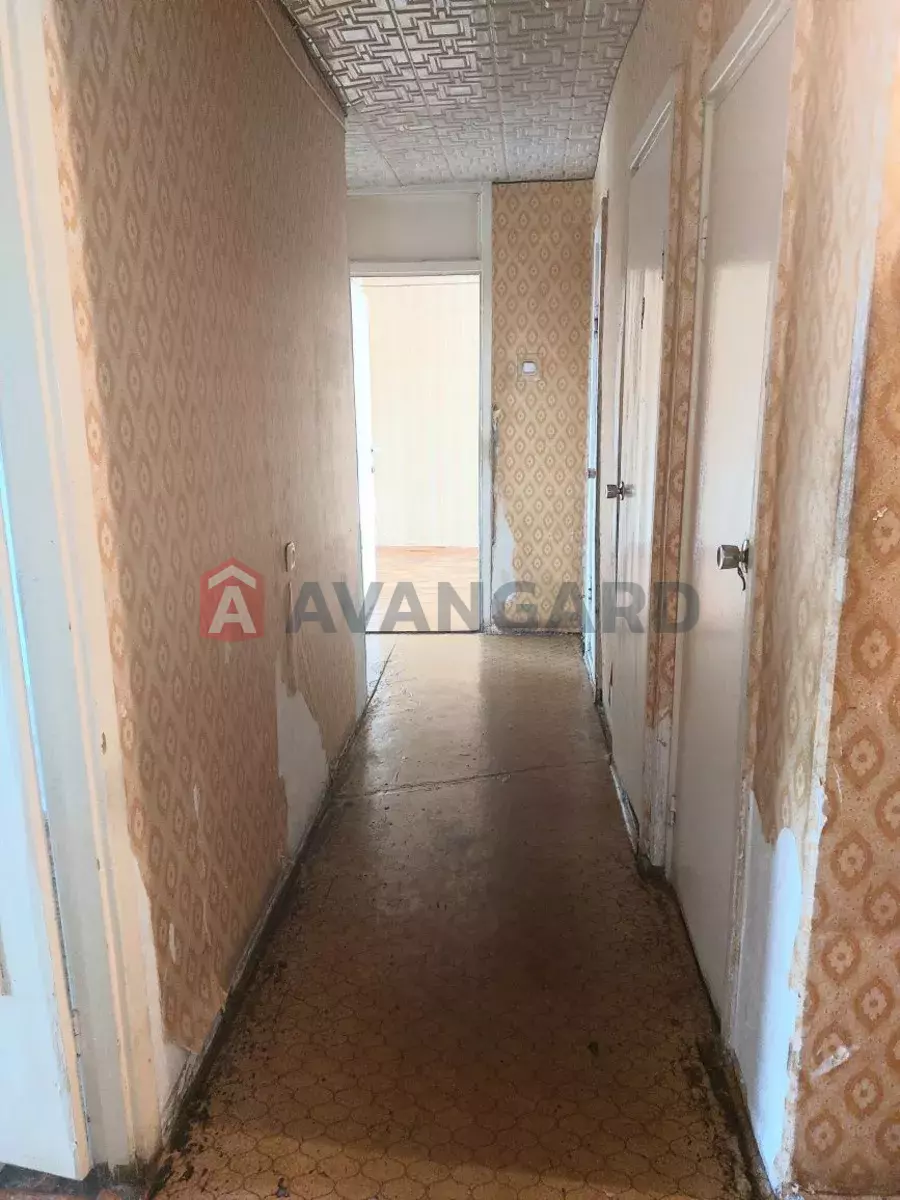 3 ����. ��������, 75/-/7 ��. �., 6/16 ���� ���� 2