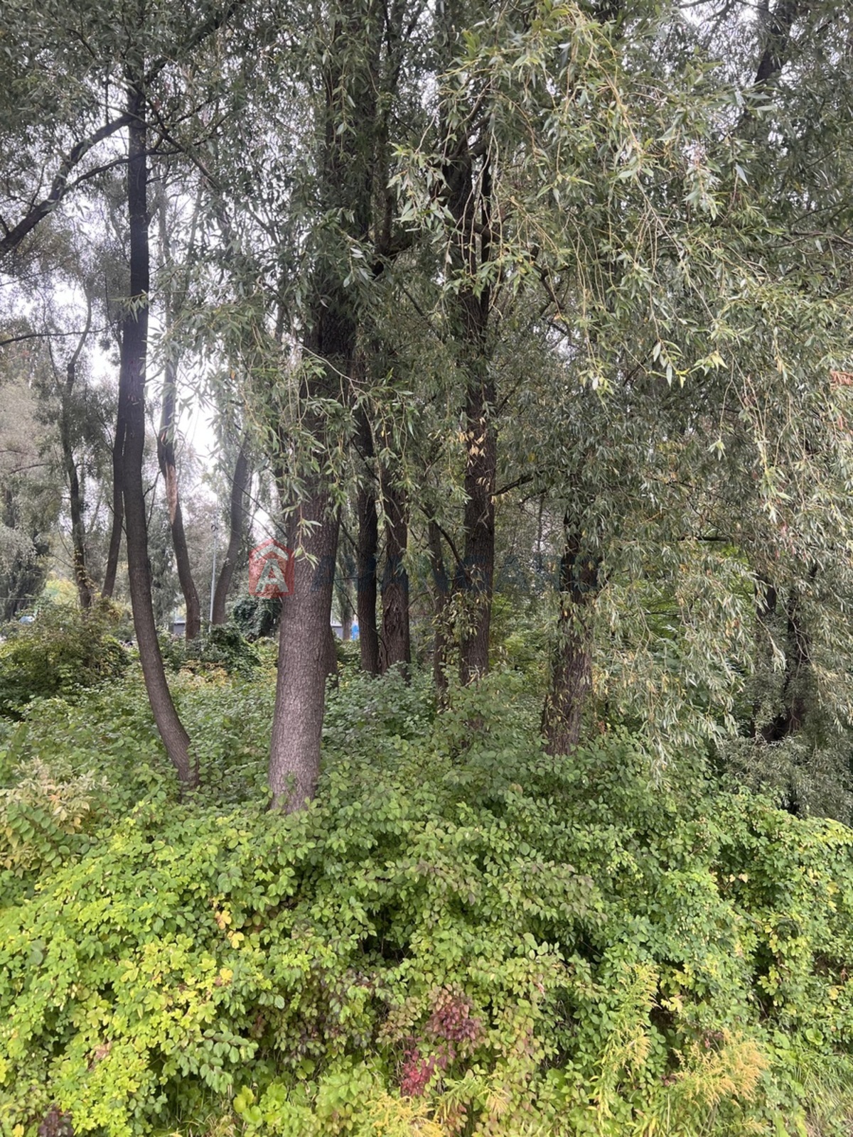 1 ��. ��������, 48/18/18 ��. �., 11/25 ������ ���� 3