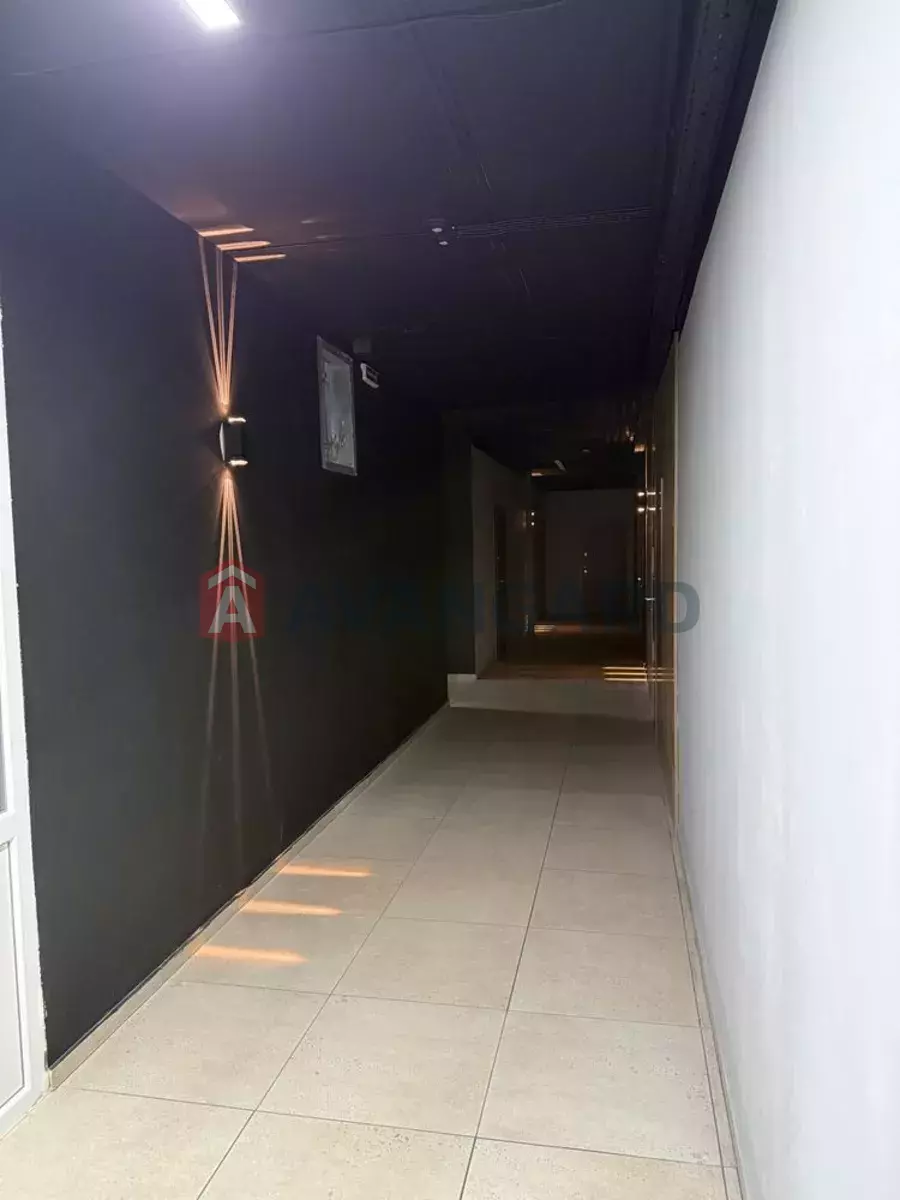 1 . , 46/-/17 . ., 10/24   15