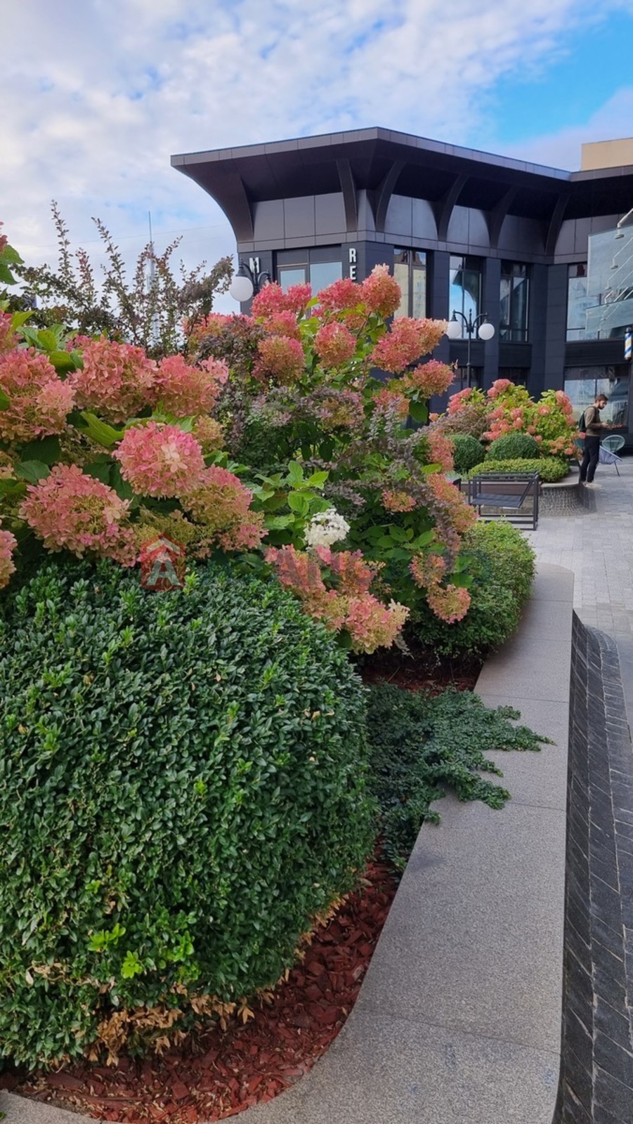 1 ��. ��������, 65/20/22 ��. �., 9/26 ������ ���� 14