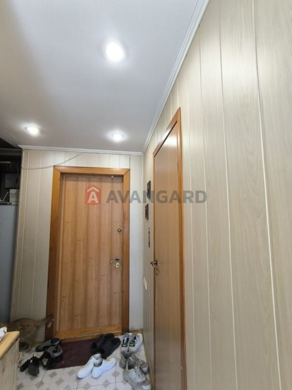 3 ��. ��������, 62/-/7 ��. �., 5/9 ������ ���� 11