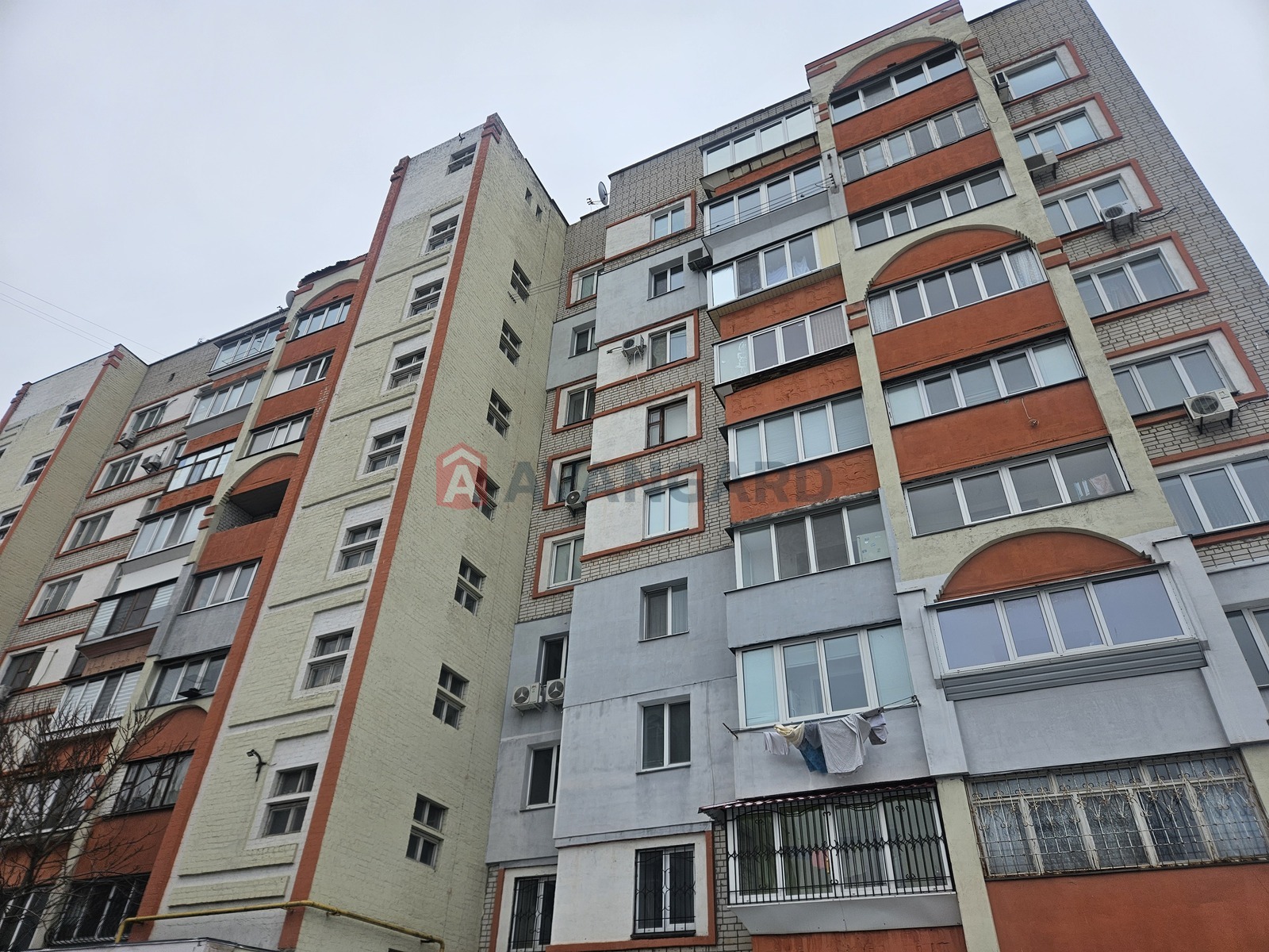 3 ��. ��������, 99/42/34 ��. �., 8/9 ������ ���� 1