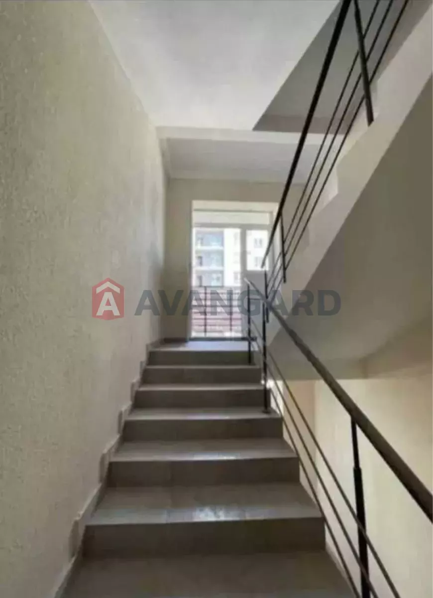 3 ��. ��������, 89/-/15 ��. �., 2/10 ������ ���� 6