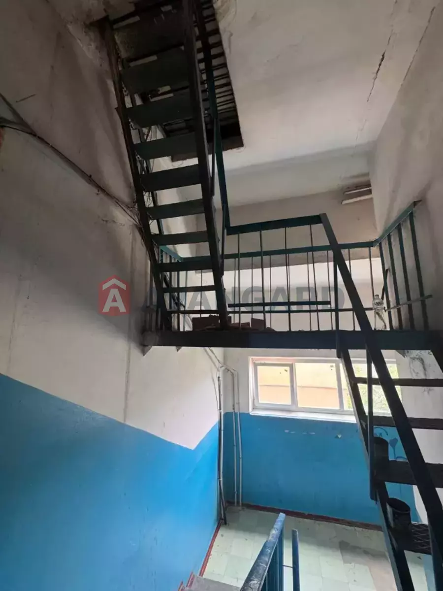 3 ��. ��������, 65/-/8 ��. �., 9/9 ������ ���� 20