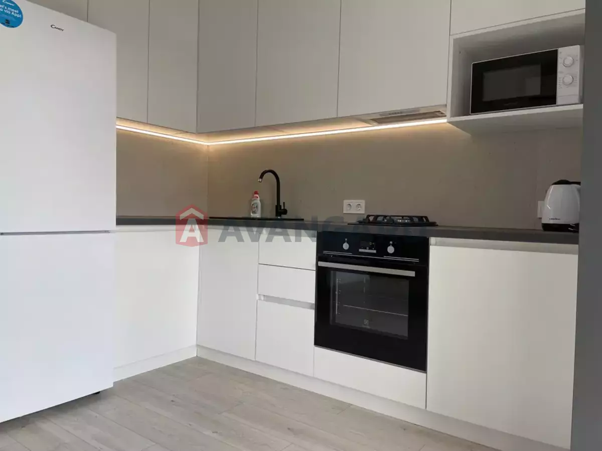 2 . , 49/-/15 . ., 11/12   8