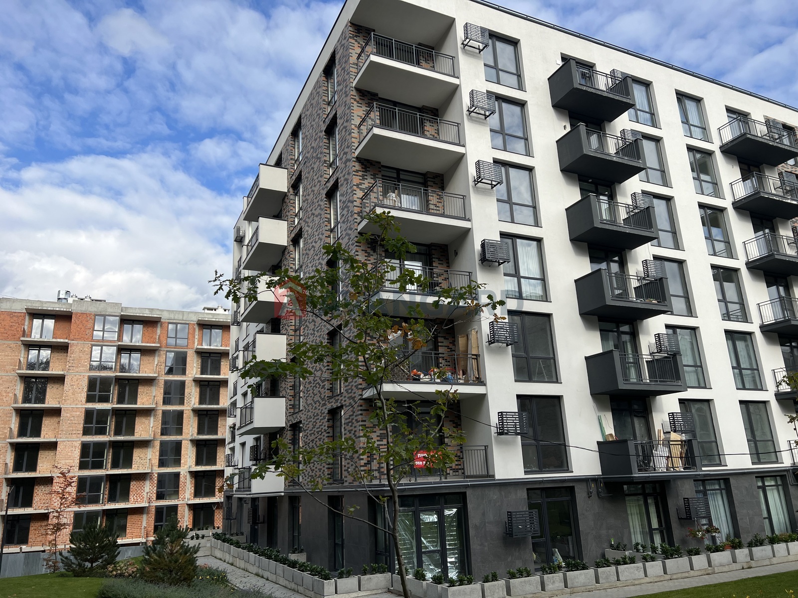 1 . , 44.2/14.5/17.7 . ., 3/10   19