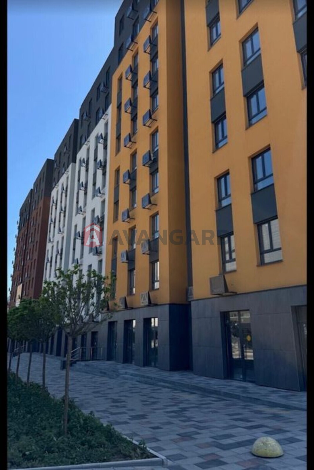 1 ��. ��������, 30/-/12 ��. �., 8/12 ������ ���� 2