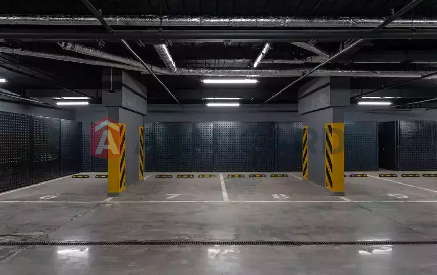 3 . , 64/-/20 . ., 2/6   13
