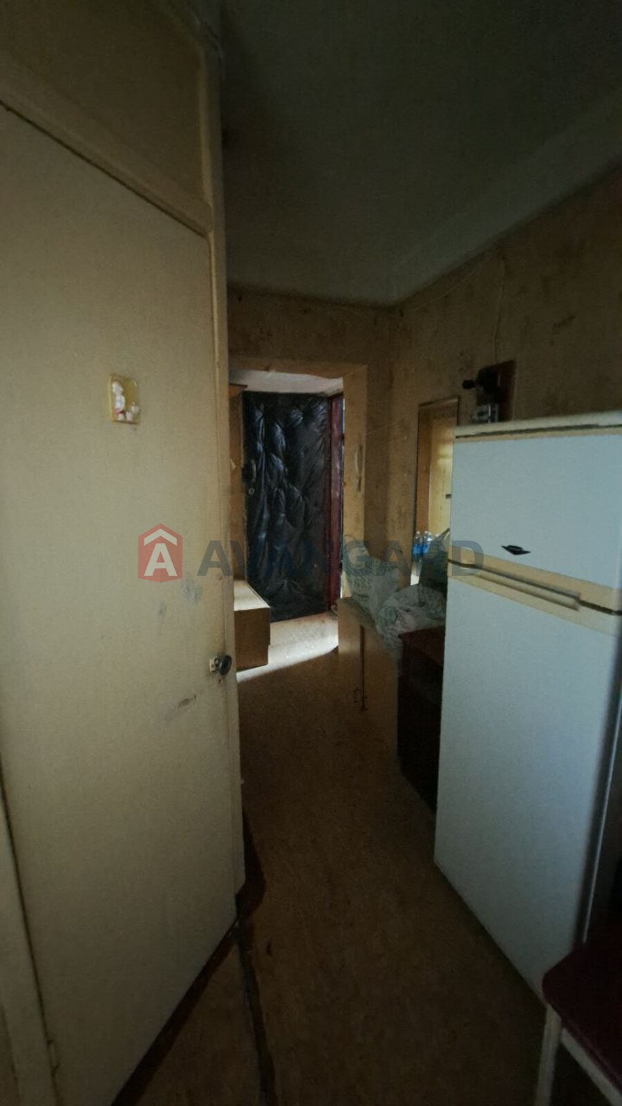 2 ��. ��������, 43/-/6 ��. �., 1/5 ������ ���� 8