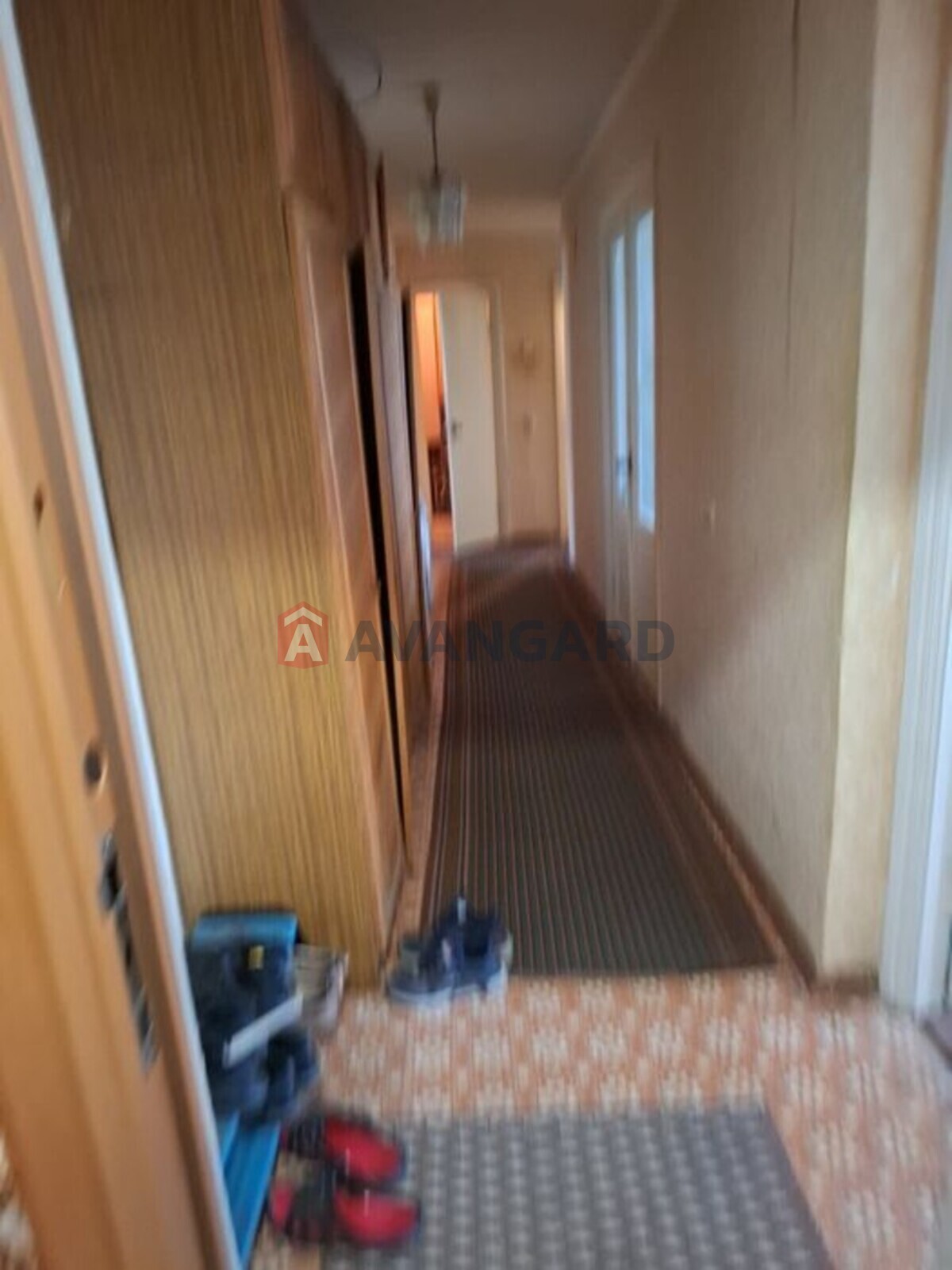 3 ��. ��������, 76/-/10 ��. �., 8/10 ������ ���� 2