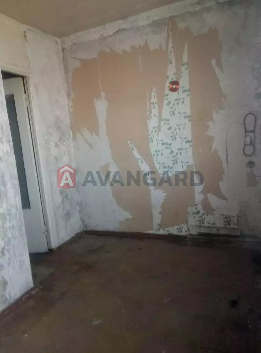 1 ��. ��������, 36/-/7 ��. �., 9/9 ������ ���� 5