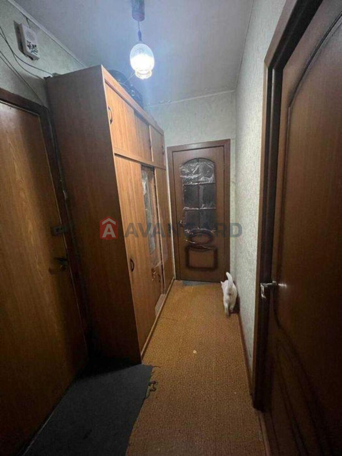 2 ����. ��������, 52/-/15 ��. �., 10/10 ���� ���� 7