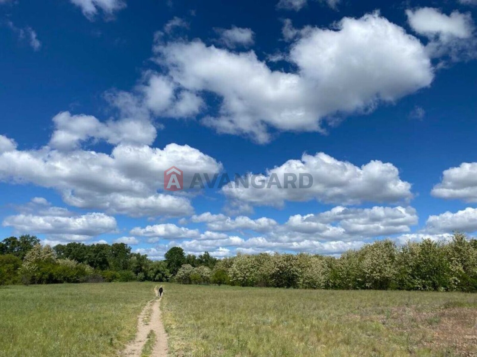 3 ��. ��������, 77/-/15 ��. �., 12/14 ������ ���� 13