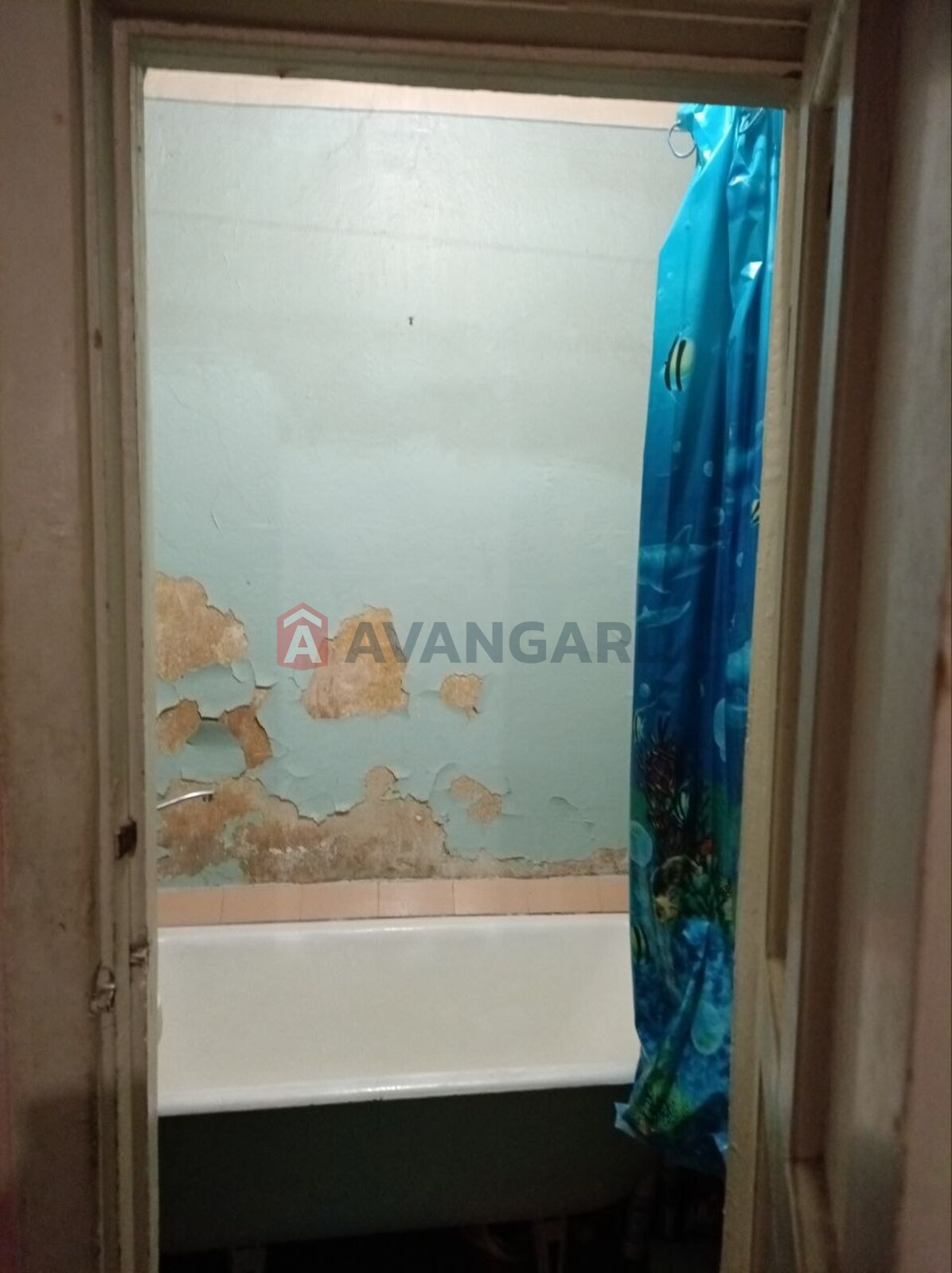 2 ��. ��������, 61/-/6 ��. �., 2/3 ������ ���� 5