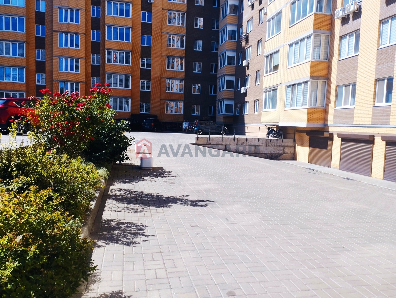 1 . , 36/-/10 . ., 8/12   3