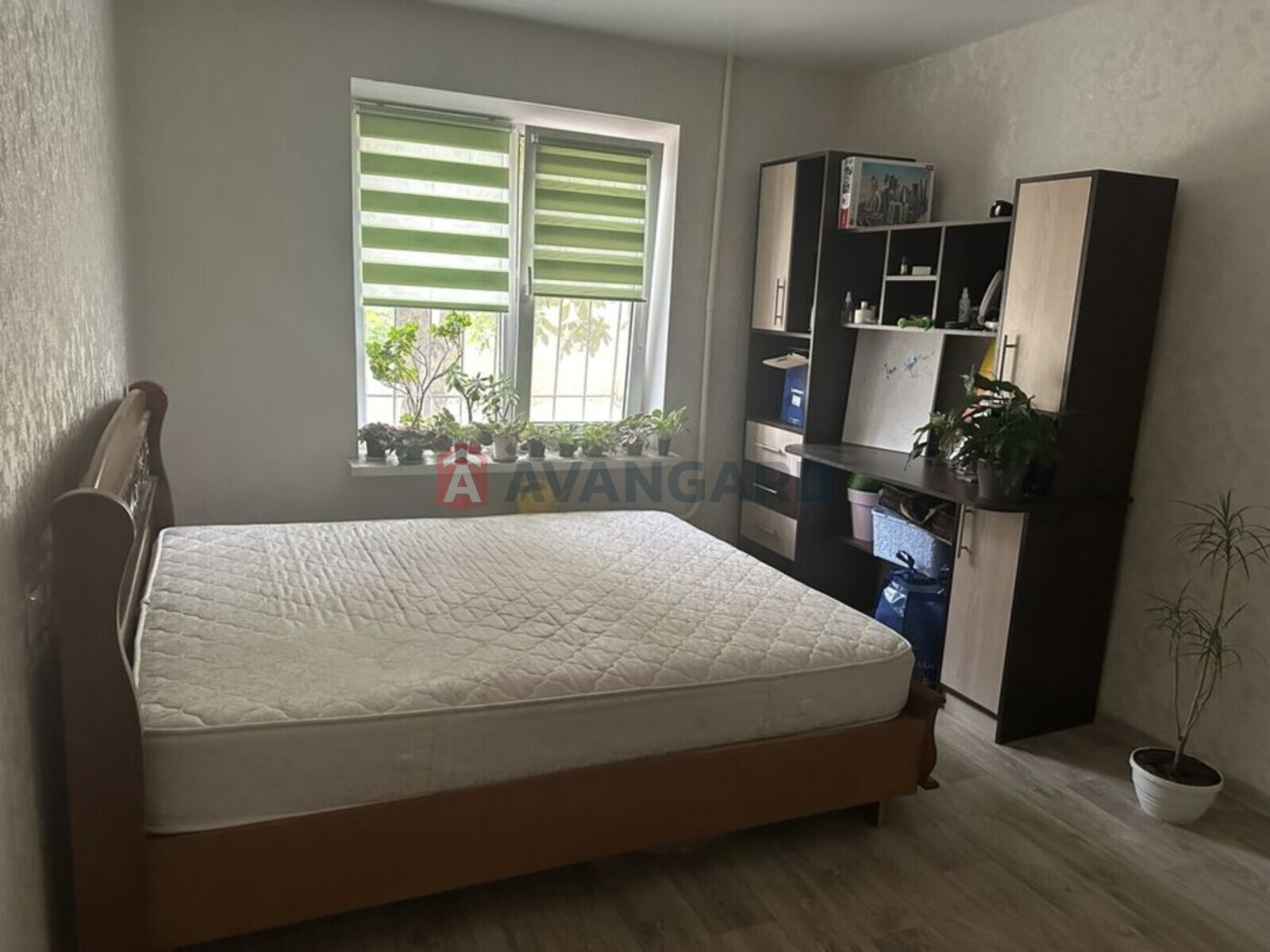 2 ��. ��������, 51/-/12 ��. �., 1/9 ������ ���� 6