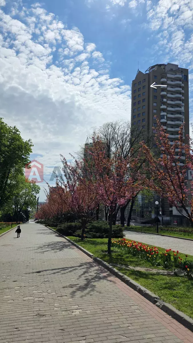 2 ��. ��������, 74/-/30 ��. �., 19/20 ������ ���� 7