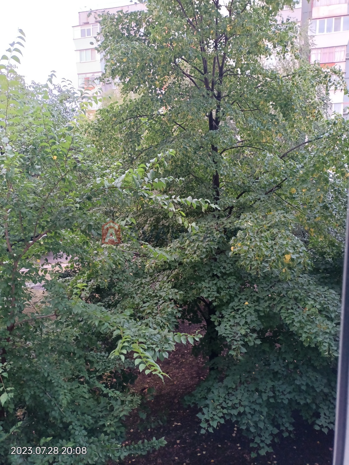 3 ��. ��������, 68/50/8 ��. �., 2/9 ������ ���� 11