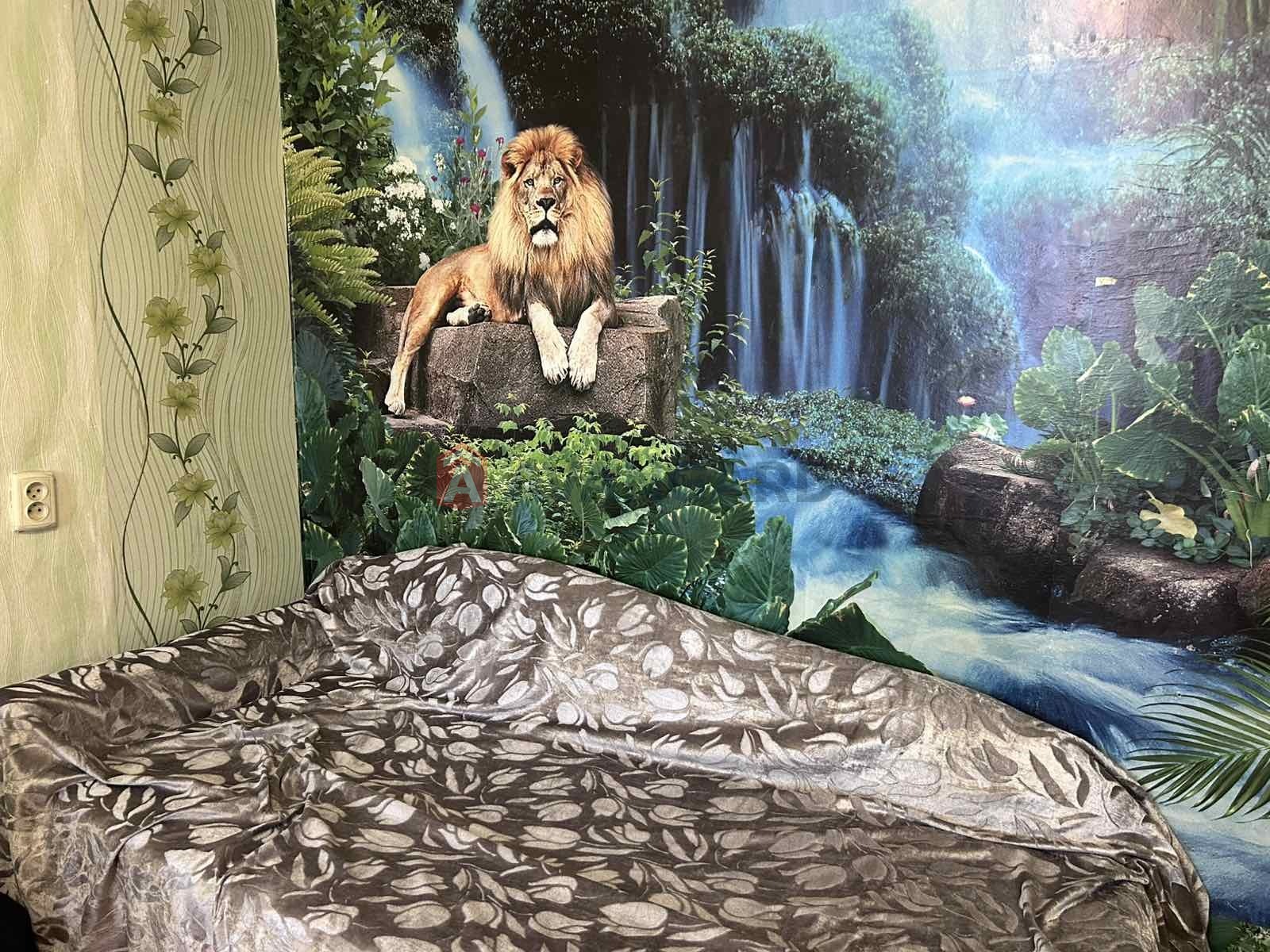 1 ����. ��������, 24/-/6 ��. �., 5/9 ���� ���� 3