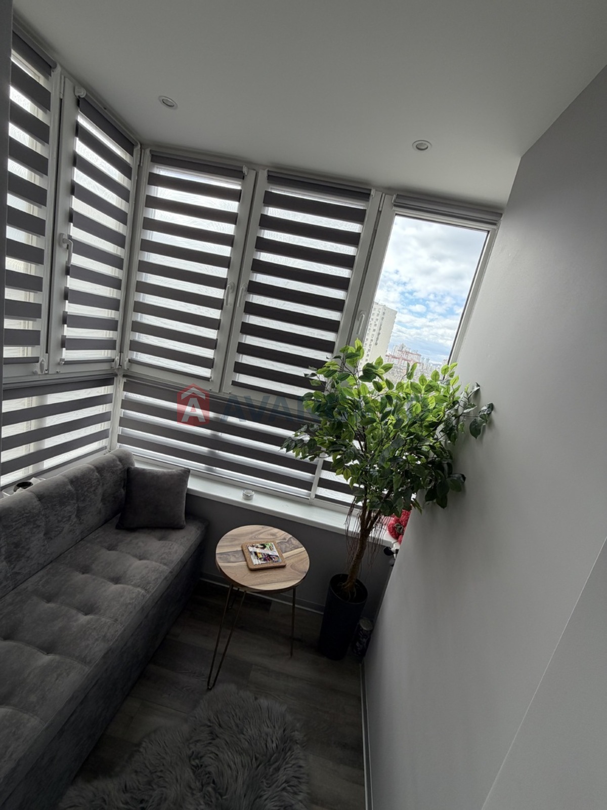 2 ��. ��������, 67/51/11 ��. �., 11/26 ������ ���� 8