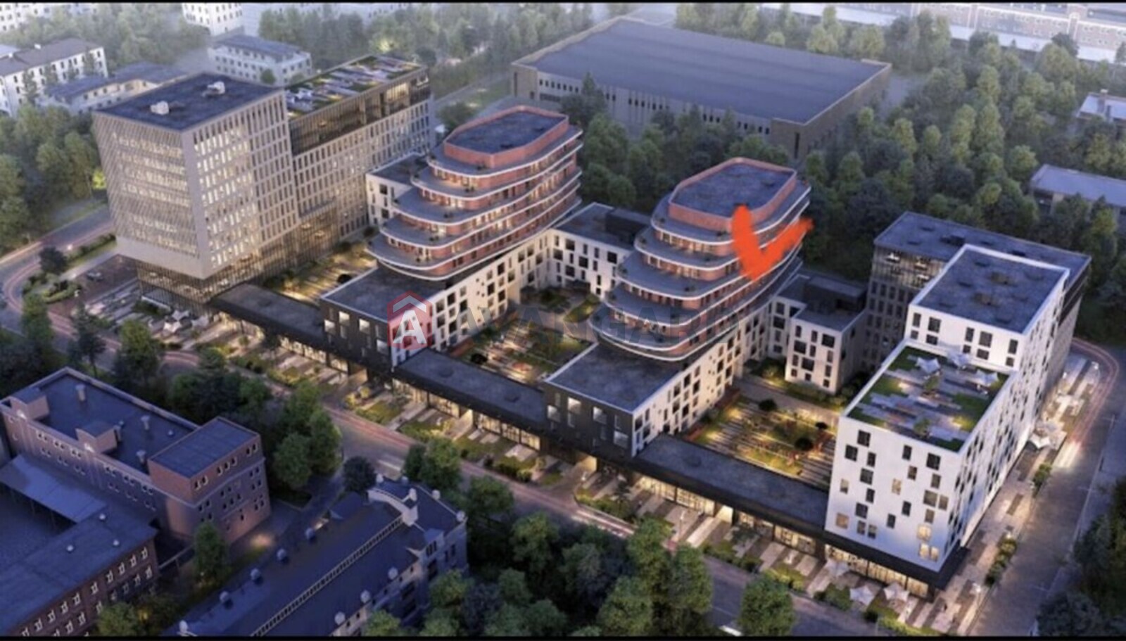 1 ����. ��������, 53/-/20 ��. �., 9/10 ���� ���� 1