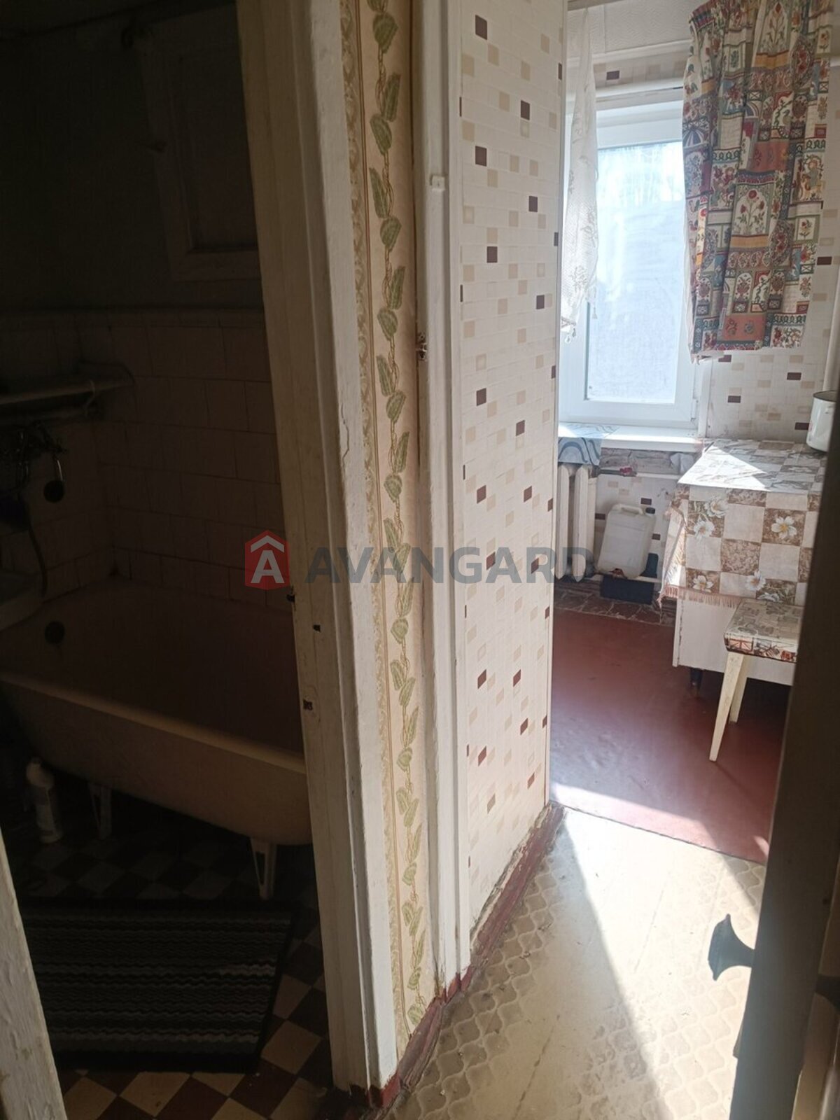 3 ����. ��������, 43/29/4 ��. �., 5/5 ���� ���� 10