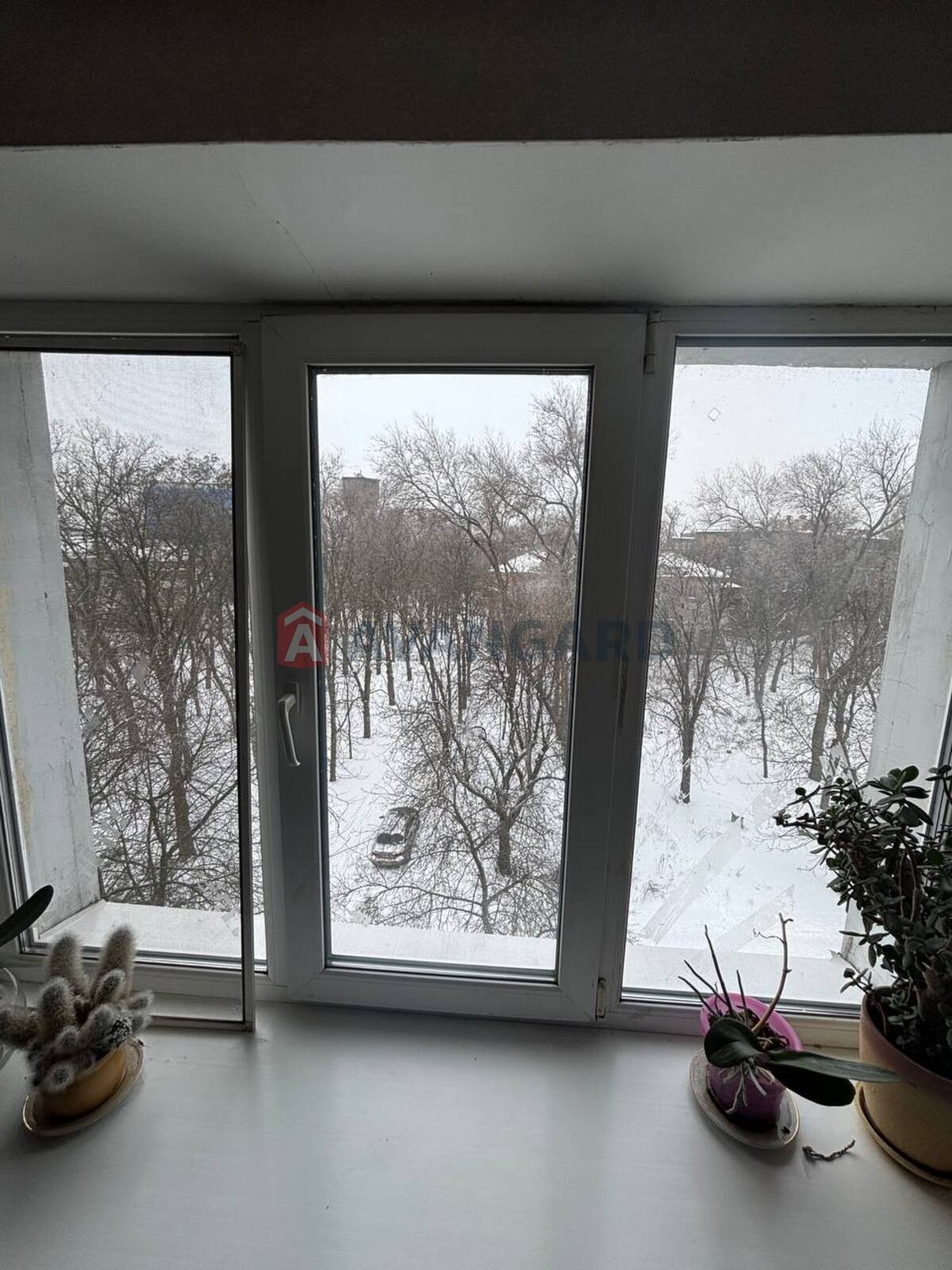 3 ����. ��������, 66/42/10 ��. �., 5/5 ���� ���� 17