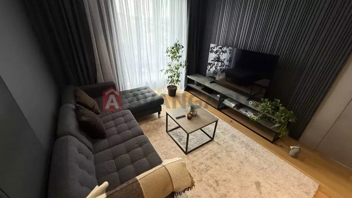 3 ����. ��������, 90/38/30 ��. �., 6/10 ���� ���� 4