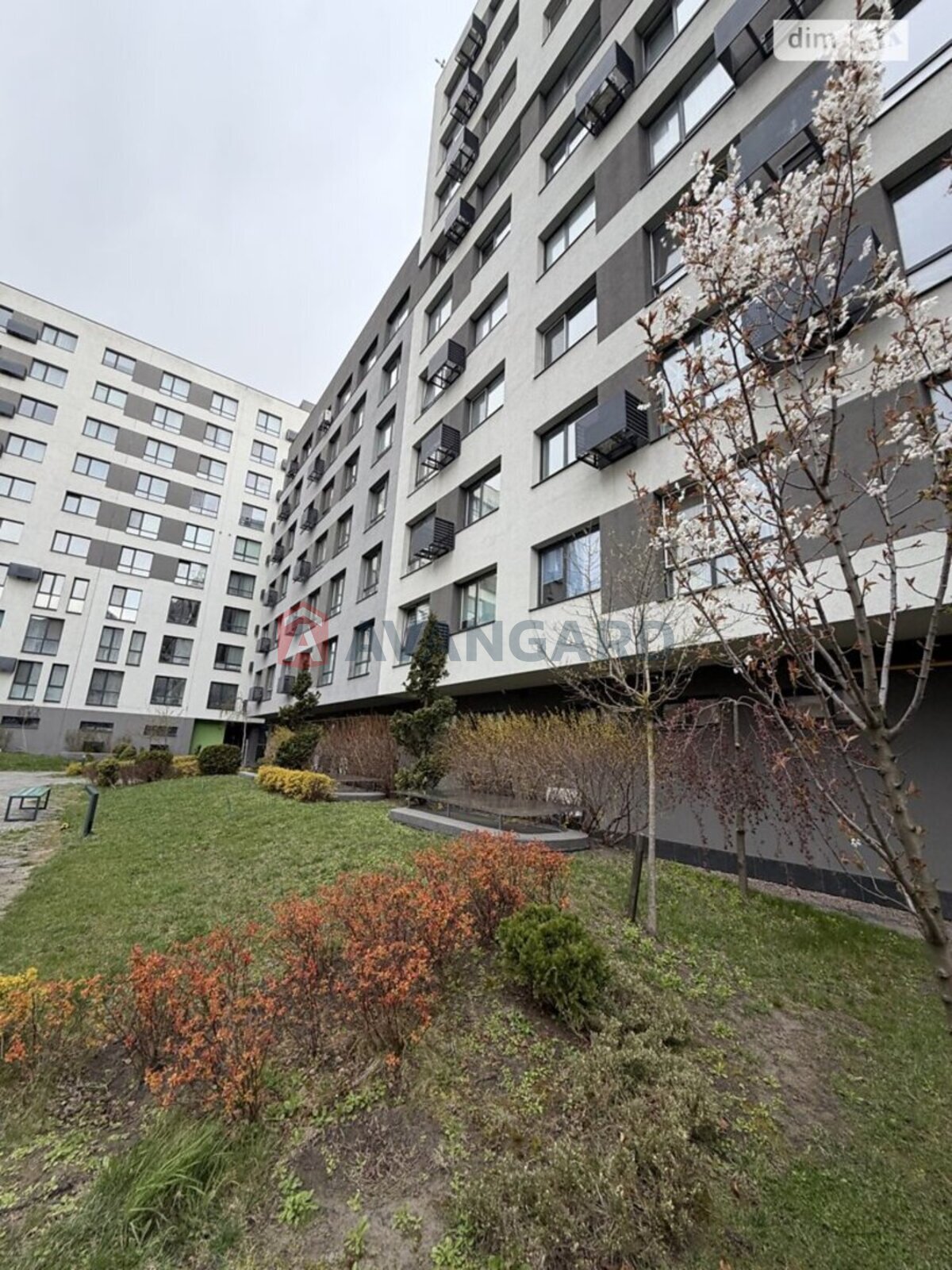 1 ��. ��������, 43/-/- ��. �., 5/5 ������ ���� 1