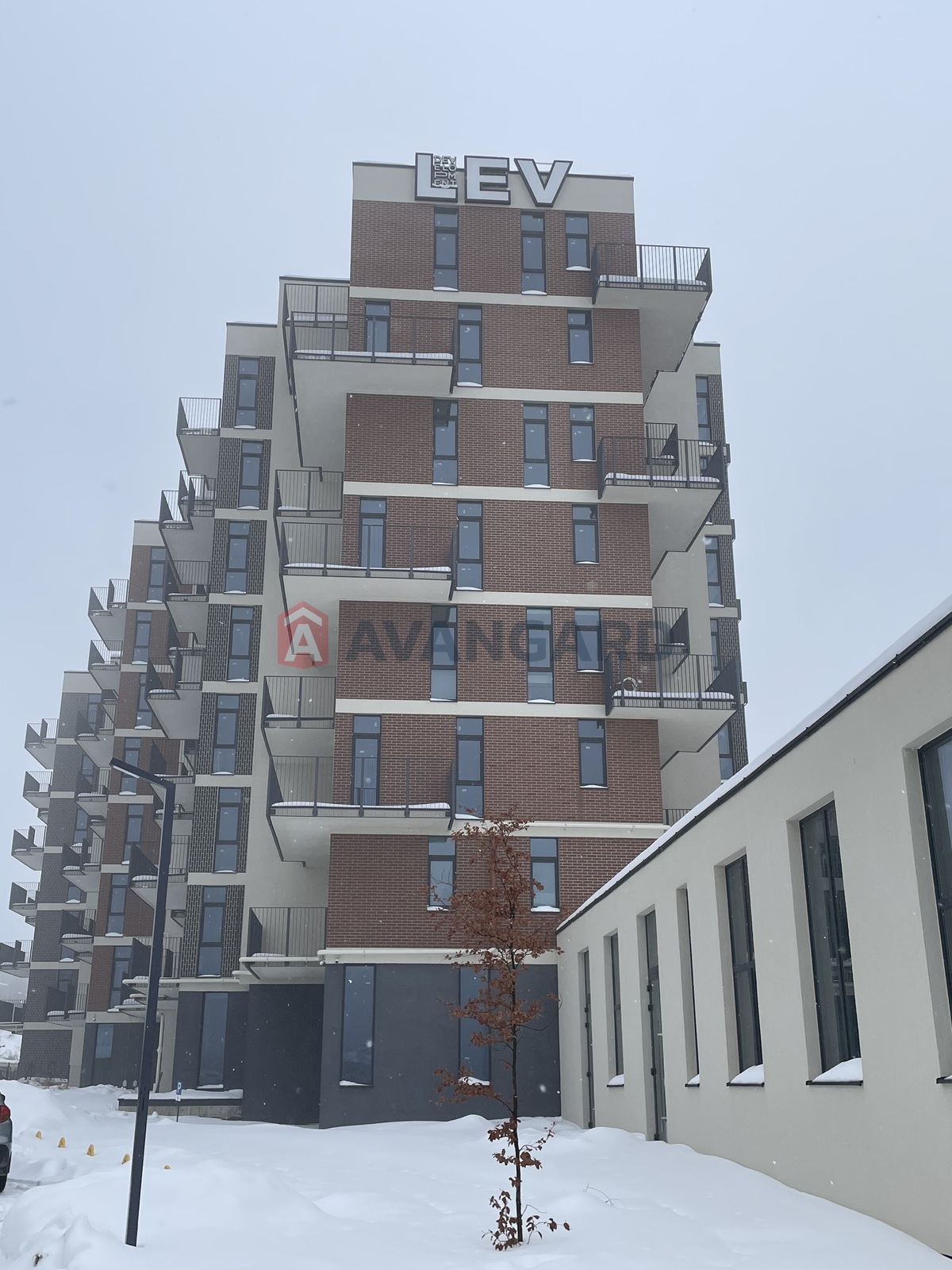 1 ��. ��������, 46,62/11,81/18,53 ��. �., 3/6 ������ ���� 2