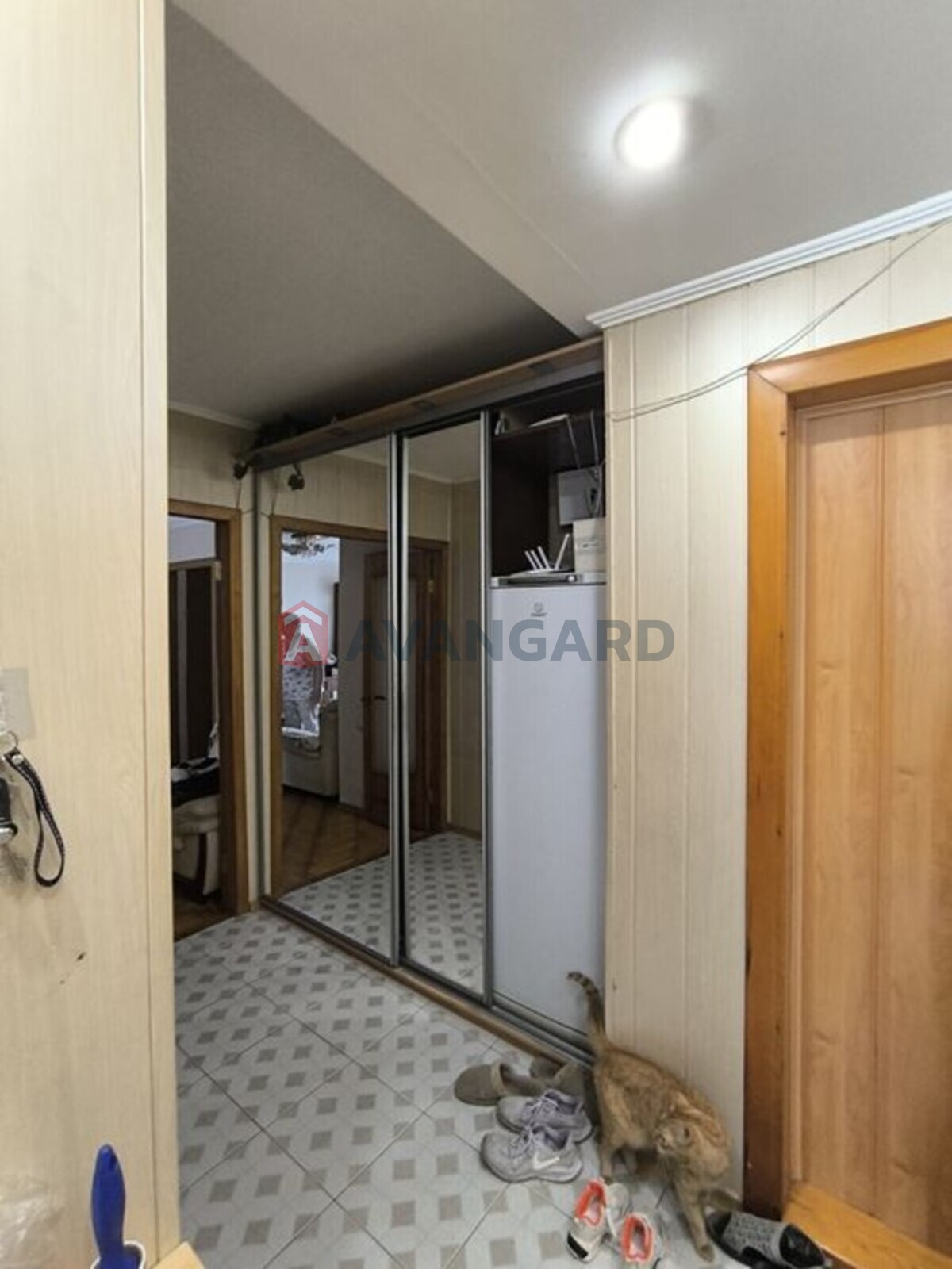 3 ��. ��������, 62/-/7 ��. �., 5/9 ������ ���� 6